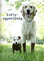 esélyegyenlőségfelirattal copy