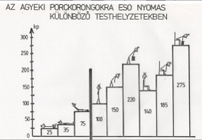 ágyéki porckorongok terhelése copy