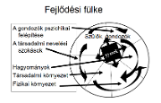 Fejlődési fülke